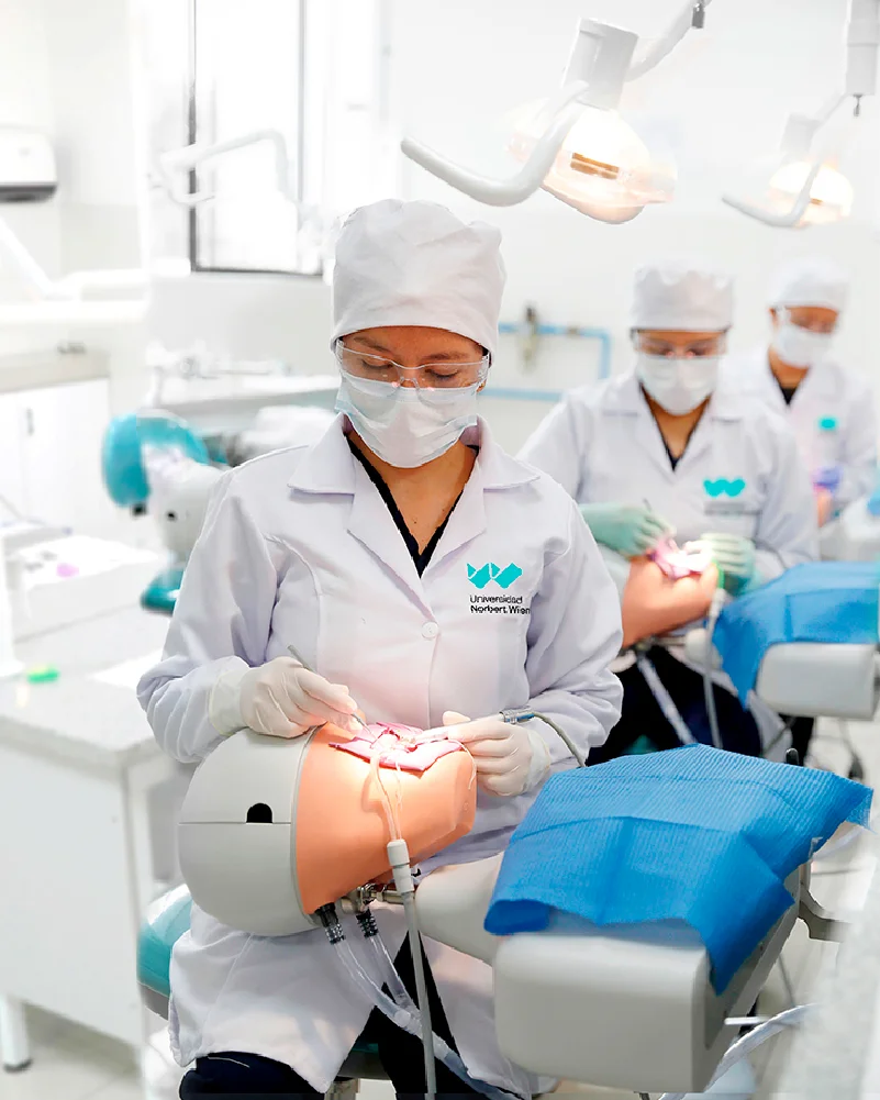 Estudiantes de Odontología practicando con un simulador dental en el centro odontológico